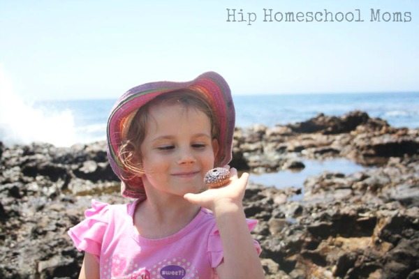HHM Homeschooling While Traveling 3