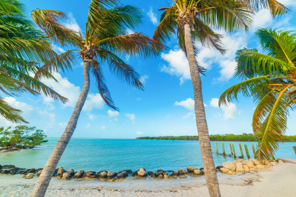 Beach Packing List for the Florida Keys
